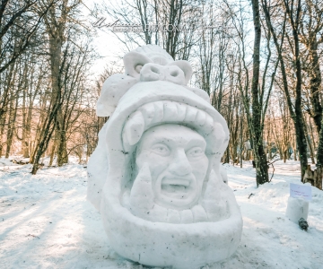 Realizaron el Festival Esculturas en Nieve
